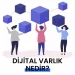 Dijital Varlık Nedir?